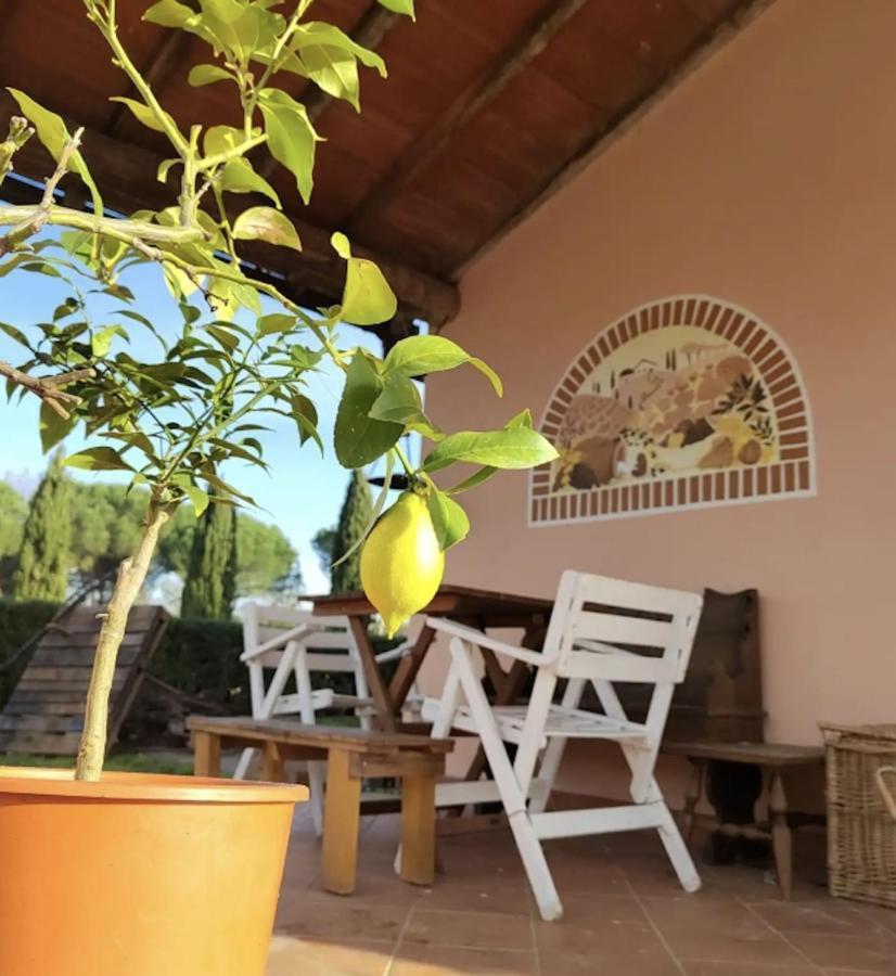 Villa Donnola: Casa Rosmarino Fucecchio Eksteriør bilde