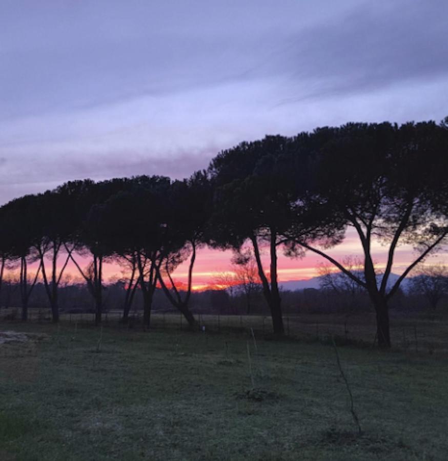 Villa Donnola: Casa Rosmarino Fucecchio Eksteriør bilde